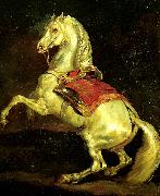 cheval cabre, dit tamerlan Theodore   Gericault